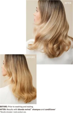 Aveda Blonde Revival™ Purple Toning Conditioner -Nue Boutique aveda blonde revival purple toning conditioner apres shampoing violet 9