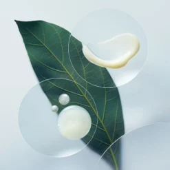 Aveda Botanical Repair™ Strengthening Conditioner -Nue Boutique aveda botanical repair strengthening conditioner apres shampoing fortifiant 2