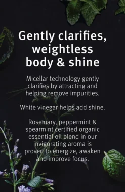 Aveda Rosemary Mint Weightless Conditioner 11 Aveda Rosemary Mint Weightless Conditioner -Nue Boutique aveda rosemary mint weightless conditioner apres shampoing soin doux pour des cheveux brillants et doux 3