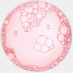 Clinique 3 Steps Clarifying Lotion 3 9 Clinique 3 Steps Clarifying Lotion 3 -Nue Boutique clinique 3 steps clarifying lotion 3 lotion tonique pour peaux grasses et mixtes 1