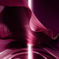 DIOR Capture Totale Lotion Visage Préparation Intense 12 DIOR Capture Totale Lotion Visage Préparation Intense -Nue Boutique dior capture totale lotion visage preparation intense lotion visage preparation intense eclat et renforcement de la barriere cutanee 5