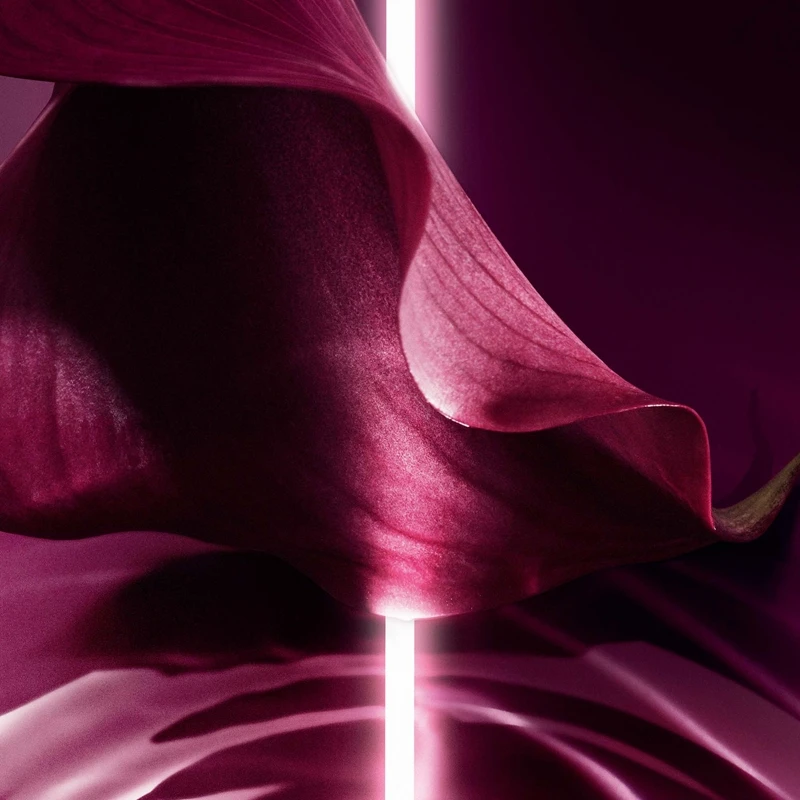 DIOR Capture Totale Lotion Visage Préparation Intense 6 DIOR Capture Totale Lotion Visage Préparation Intense – Image 6