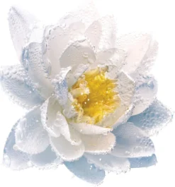 DIOR Le Démaquillant Yeux Et Lèvres -Nue Boutique dior le demaquillant yeux et levres le demaquillant biphase yeux et levres 4