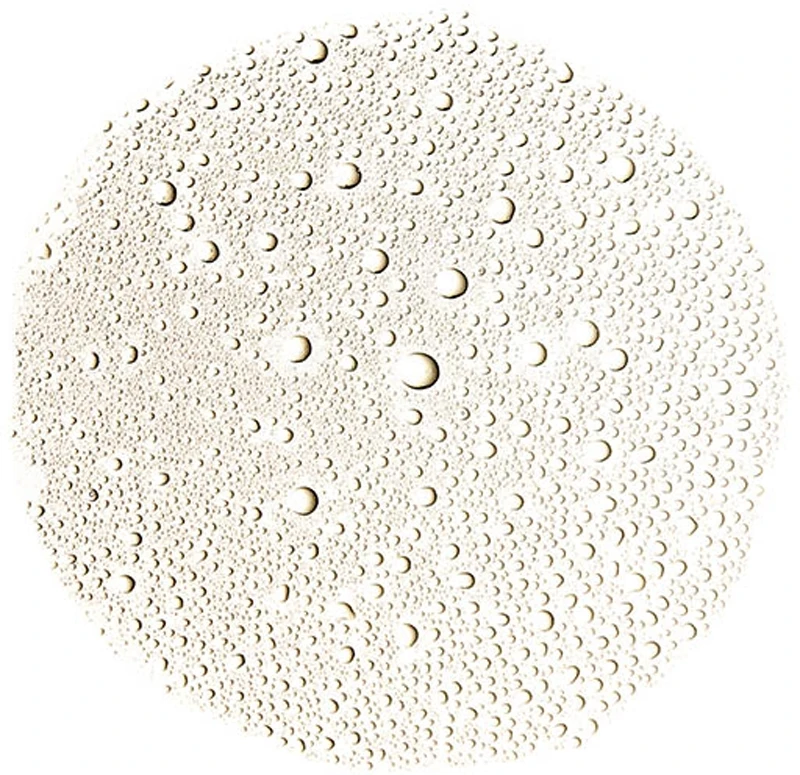 Elemis Superfood Kefir-Tea Mist 2 Elemis Superfood Kefir-Tea Mist – Image 2