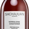 Sachajuan Normalizing Conditioner