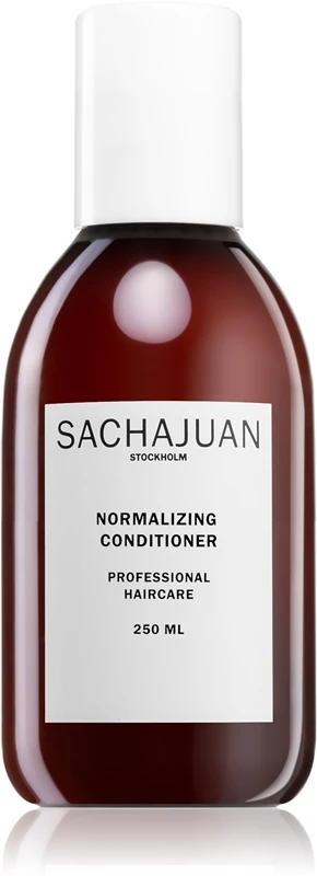 Sachajuan Normalizing Conditioner 1 Sachajuan Normalizing Conditioner