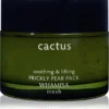 WHAMISA Cactus Prickly Pear Pack